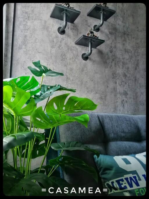 Apartment Sibu-casamea *